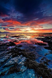 教材信息收集与整理：2024年秋季贵州高中所使用的课本？