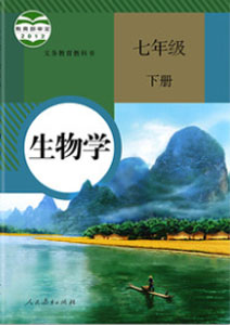 7B.jpg