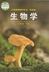 7B.jpg