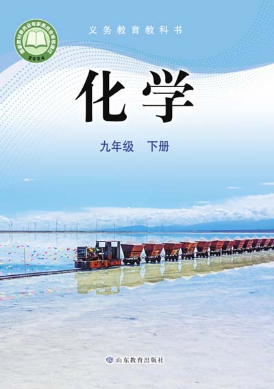 2024版鲁教版初中化学电子课本九年级下册0000.jpg