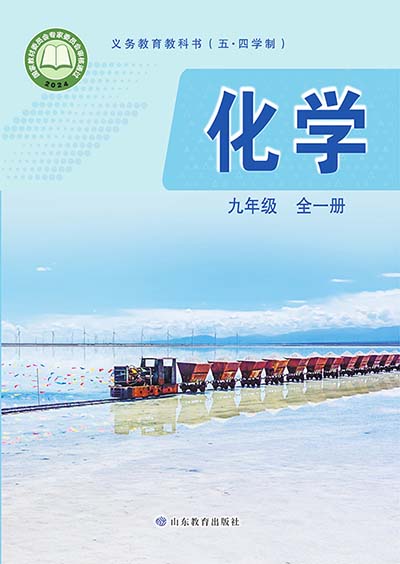 2024版鲁教版初中化学（五四学制）九年级全一册电子课本0000.jpg